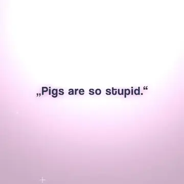 The most misunderstood and mistreated animal #pigs #pig #animallover #cutepig #v
