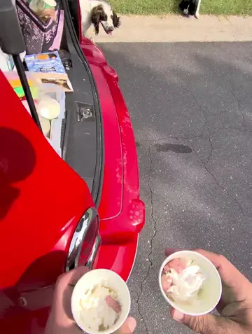 Blessing dogs with free pup cups and treats #GivingBack #pawsitivity #kindness 