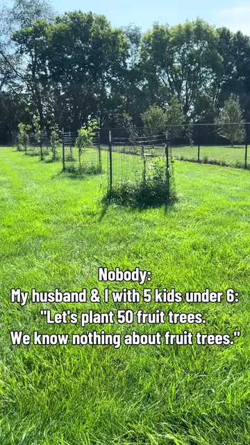 Apparently we’re orchard people now. 😂 We’re growing apples, peaches, pears, an