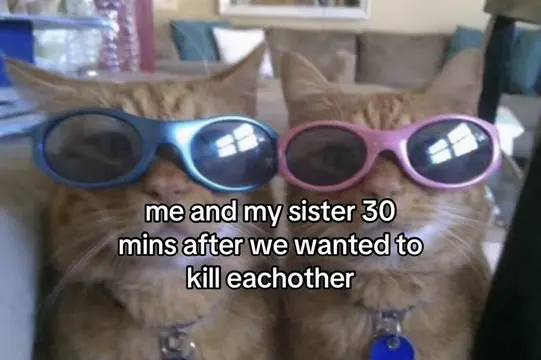 tag your monkey #sister #sibling #meme #relatabl 