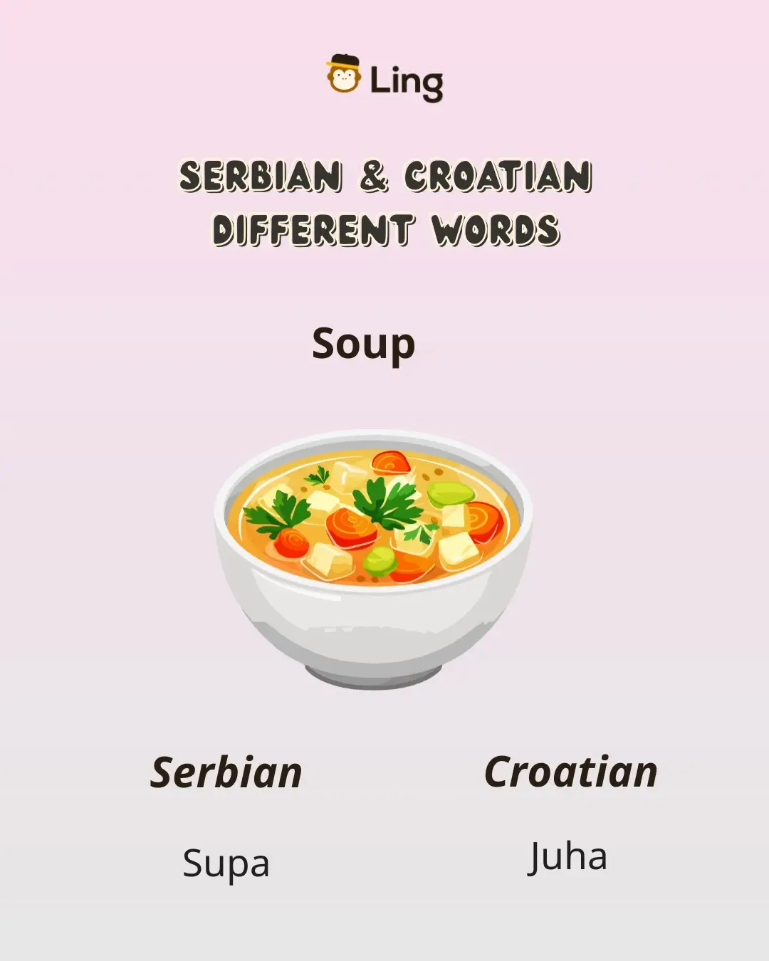 Discover the fascinating world of Serbian and Croatian vocabulary! While these l