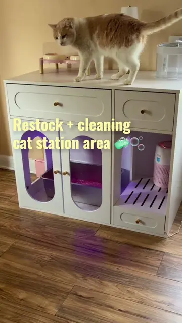 Just got this new cat station and I absolutely love it 😍  #creatorsearchinsight