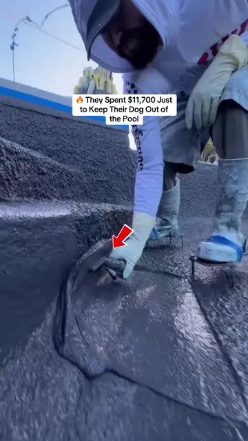 🔥 They Spent $11,700 Just to Keep Their Dog Out of the Pool #poolcleaning #stor