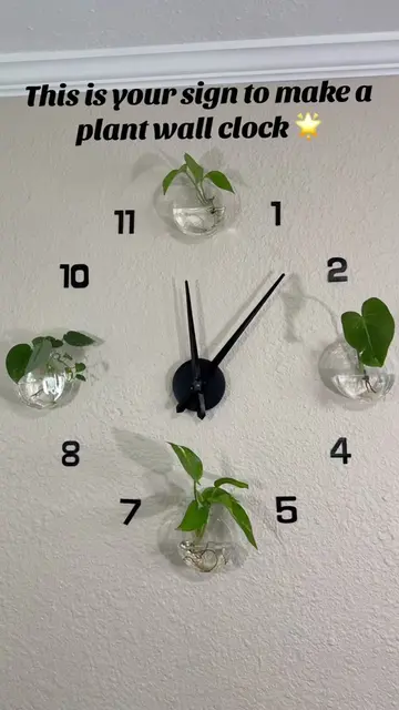 This is your sign to make a plant wall clock bc.. I mean hello?? 😍 #fyp #plants