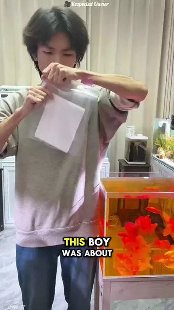 🐠✨ A simple tissue paper accidentally turns into an unexpected aquarium cleaner