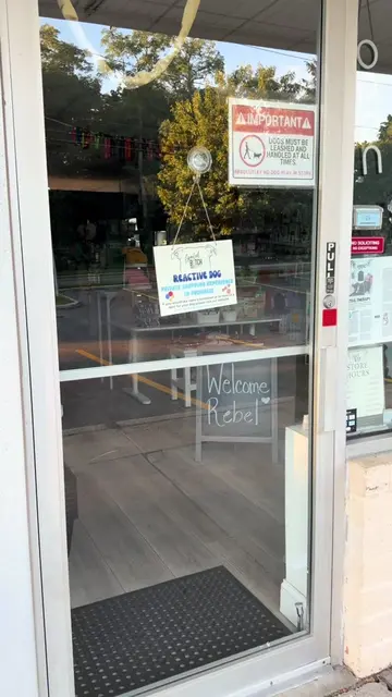 ADOPTABLE REBEL’S REACTIVE DOG PRIVATE SHOPPING EXPEREIENCE 🛍️🐾 Rebel came in 