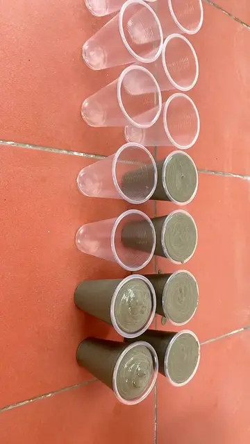 Easily make plant pots using plastic cups and cement - DIY garden decoration Tha