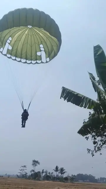 Parasutnya nyangkut hampir 360° melilit pohonnya. Kasihan juga ya 📽️ istimewa #