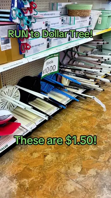 RUN to Dollar Tree! 🏃‍♂️ 👀 The sign said stools $10 but these metal plant stan