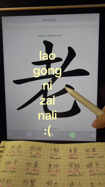 wo de laogong 🥺 app: Laoshi #learnchinese #chineselanguage #mandarin #LanguageL