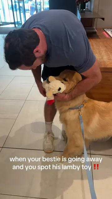 His golden retriever bestie was just trying to go away for the weekend 😭😭 I th