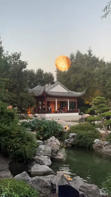 A magical stroll through the moonlit Chinese Garden? Say less. 🌙✨The Mid-Autumn
