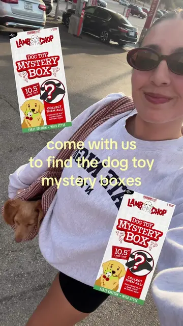 come w/ us to @target for the lamb chop mystery box! 🐾🎯 unboxing video is alre