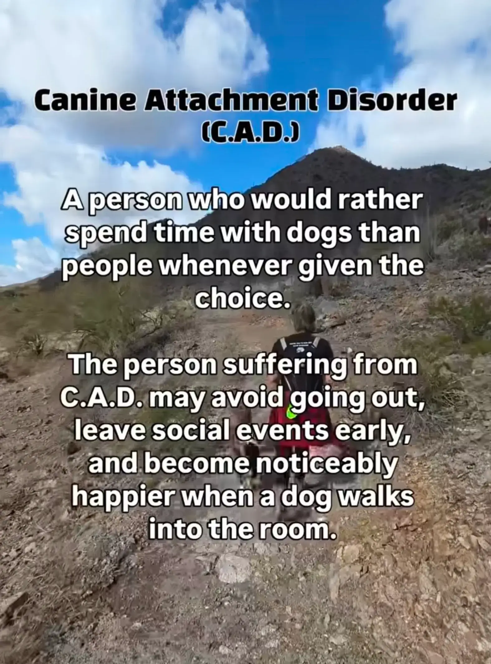 To good not to share 😂  #accurate #dogsrule #antisocial #dog #fyp