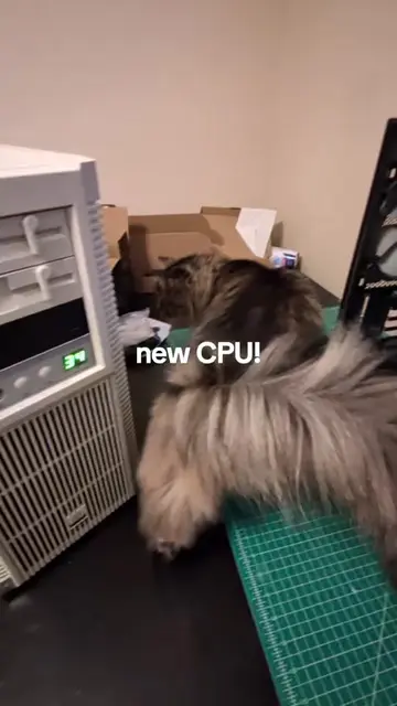 #intel #computers #Tech #techtok #sleeperpc 