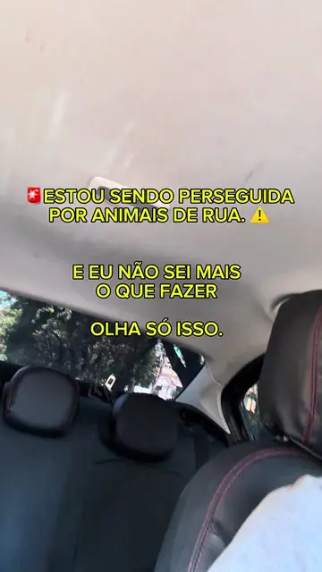 🚨🚨QUEM QUISER AJUDAR, ATRAVÉS DA BIO, EU FIZ UM LIVRO DIGITAL CONTANDO AS HIST