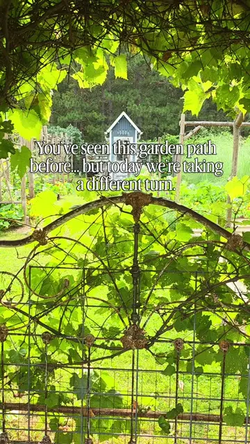 Come take another walk through my garden with me... 🌿 We’re going to follow the
