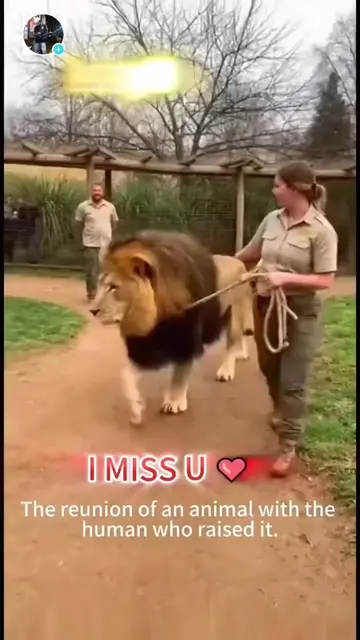 The genuine love between animals and humans ♥️🥰 #pet #cat #dog #cute #Love 