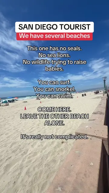 Try this beach #missionbeach #saveseals #berespectful 