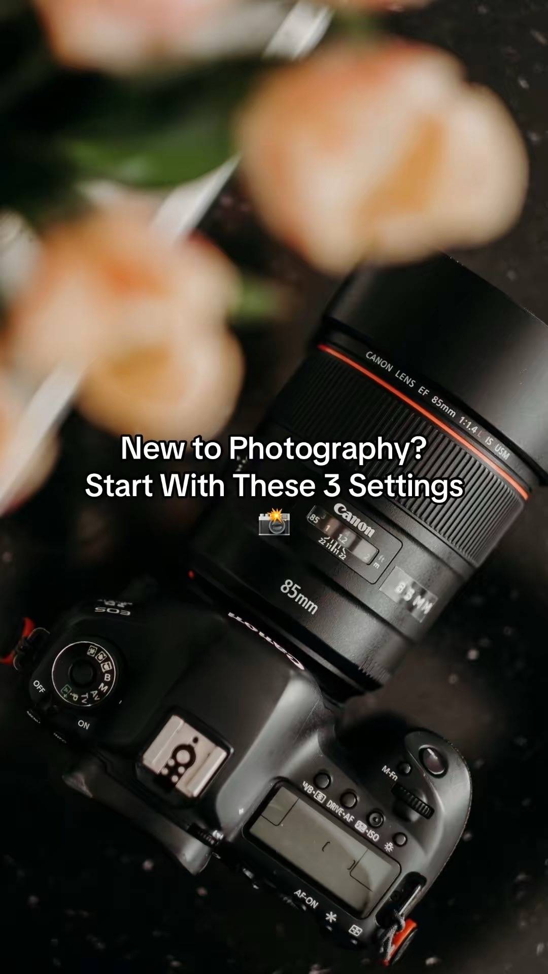 Just picked up a camera and have no idea what all those settings mean? Start wit