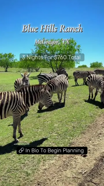 Want a safari but not have to travel far comment RANCH 👇🏽  Are you tired of re