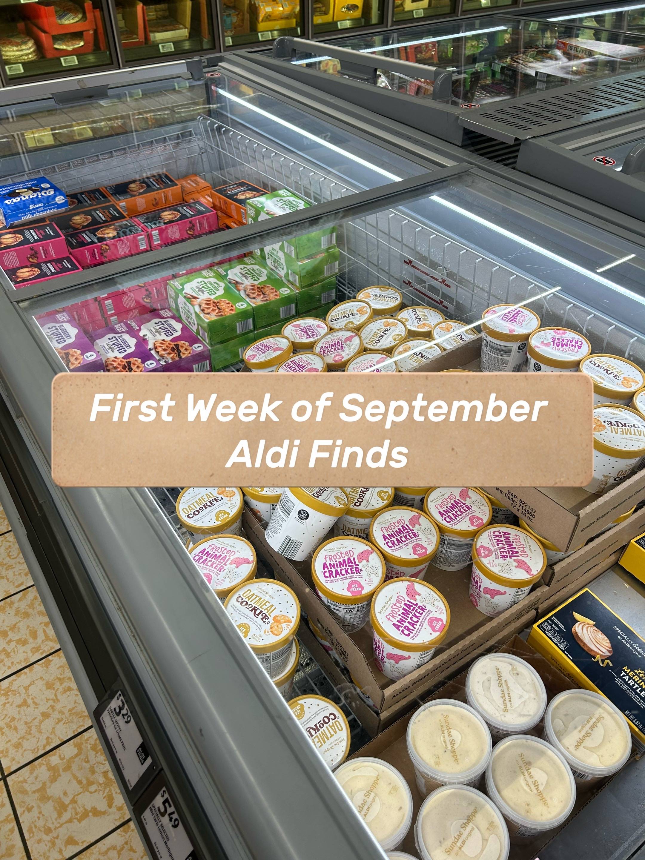 #aldifinds #endofaugust #happyseptember #falldealsforyou #fall 