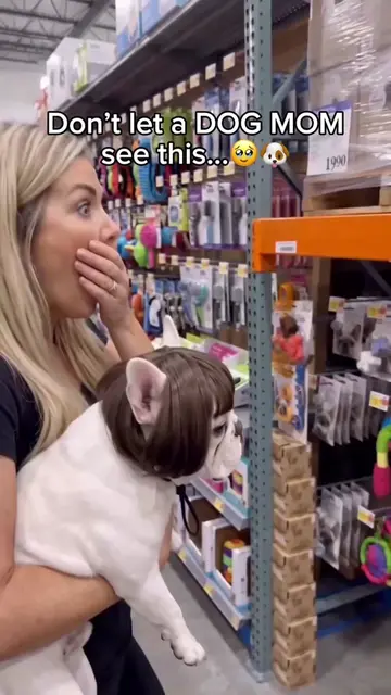 Who needs one? 🎁  #dog #dogmom #dogfunny 