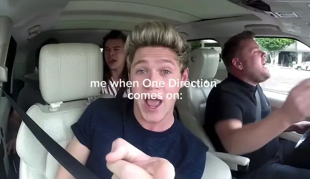 it’s the happiest moment of my day… every single time 🤭 #onedirection #1d #dire