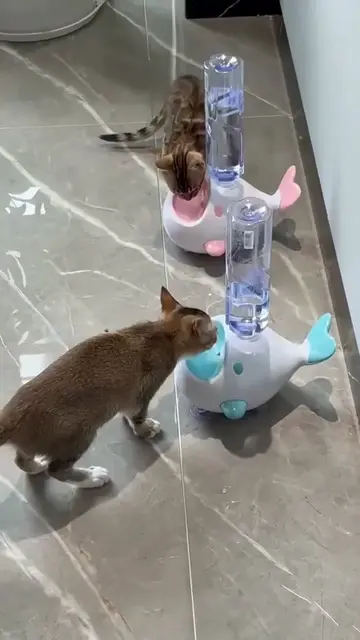 Better water, less mess. 💦 This portable pet dispenser keeps water clean and fr