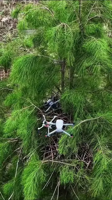 Task failed successfully? 😅🥲🤣 #dronedoctor #dronecrash #dronepilot #dronetric
