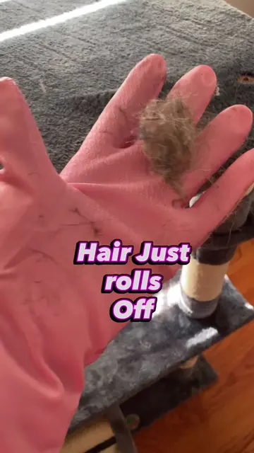 Easy pet hair removal that is super fast. #cleaningtips #pethair #cleanhome #cle