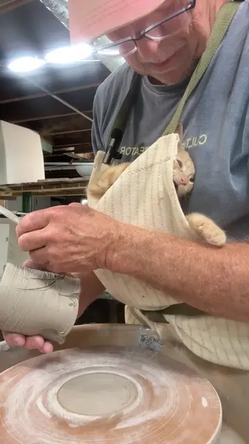 Making elephants with everyone's favorite orange kitten #Georgie #kitten #funny 