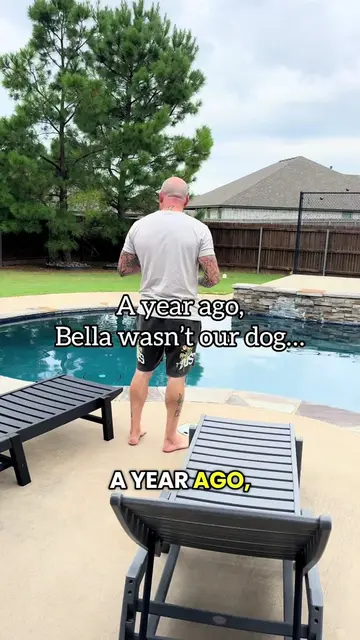 A year ago, Bella wasn’t our dog. She was just the little dog who had started be