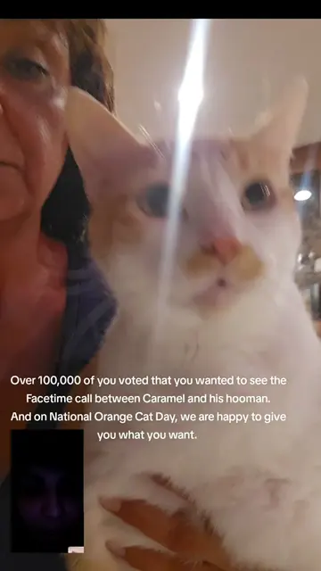 Happy Orange Cat Day. Please enjoy this mini reunion between Caramel and his hoo