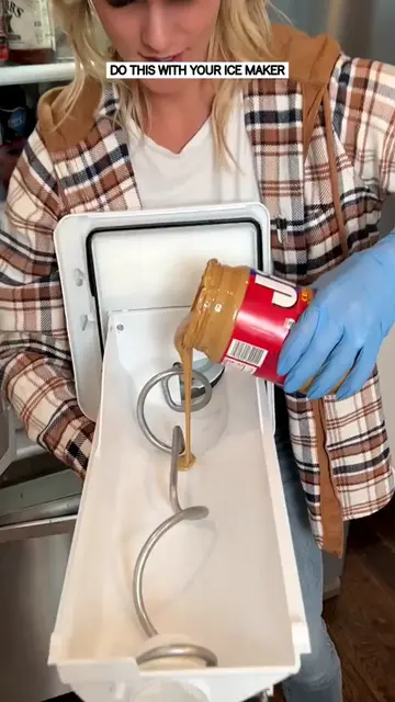 DO THIS WITH YOUR ICE MAKER - PART 1