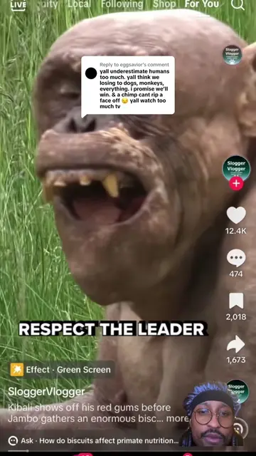 Replying to @eggsavior  #delusional #1v1 #chimpanzee #fyp #trending 