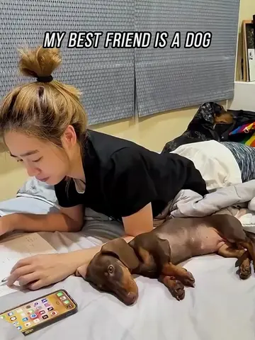 My Best Friend Is A Dog #dog  #funny  #doggielife  #pets  #funnydog  #puppy  #do