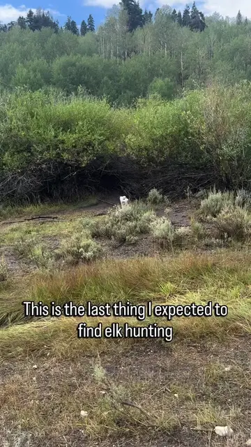 Finder Keepers 🐕 #dogrescue #rescuedog #rescuestory #dogstory #doglover 