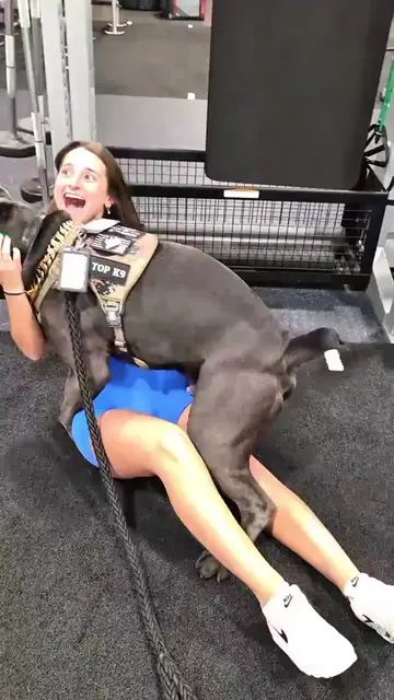 The internet convinced us dogs hump because they're horny. As a breeder, I can t