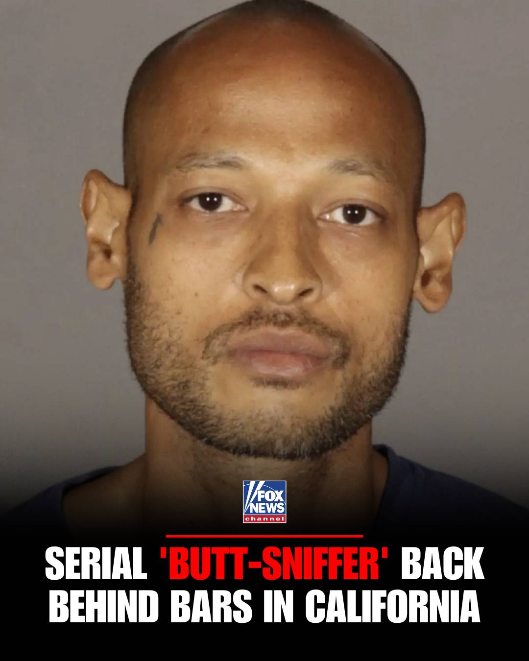 A man dubbed the serial "butt-sniffer" is back behind bars after police say he w