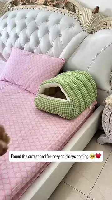 #dogbed ##dogsleeping #dogmom #GoodPuppy #dogessentials 
