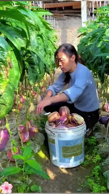 Kung gusto mong may kakaibang tanim sa bahay, ito ang puwedeng idagdag sa listah