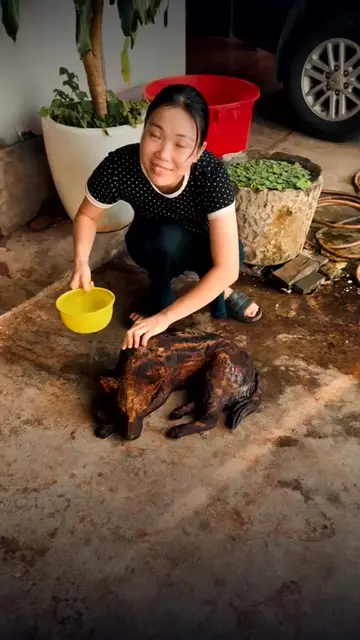 “Dạ gỗ xà cừ ạ” là gì? Câu nói đang phủ TikTok bắt đầu từ một clip tắm tượng chó