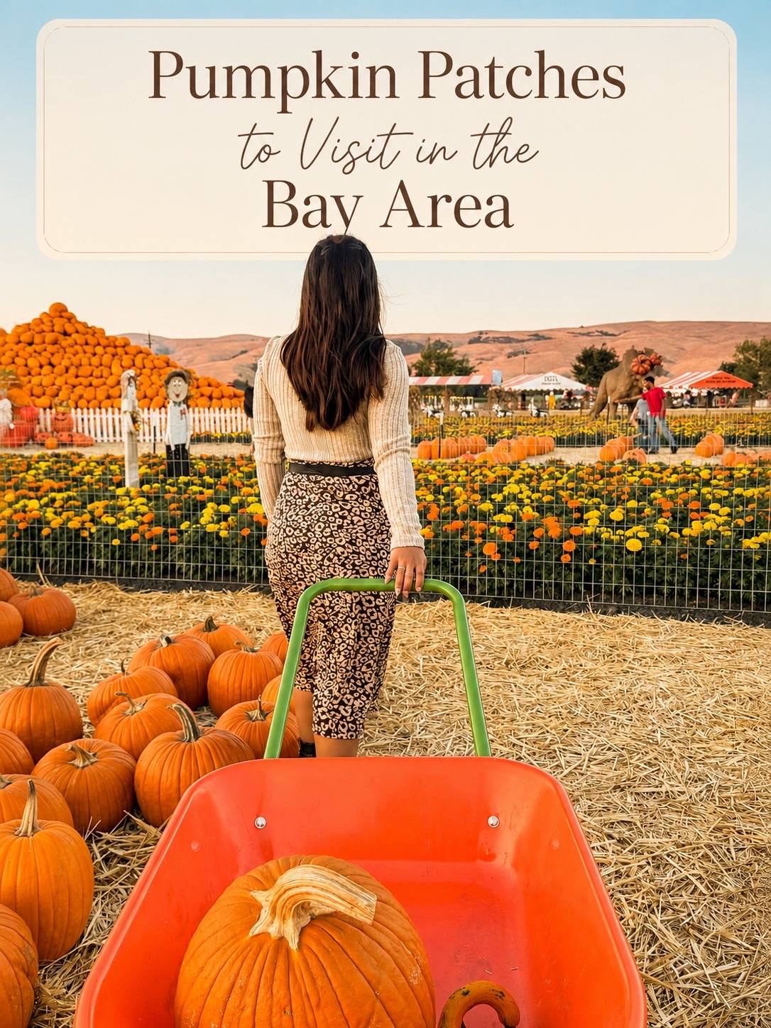 From quick city stops to full farm-day adventures, this carousel has options for