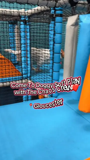 We had the absolute BEST time at doggy indoor soft play! What a lush way to spen