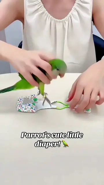 Cute strap‑style bird diaper. Keep mess contained when you take your parrot outs