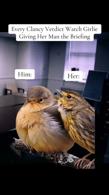 Him: “So… any verdict yet?” Her: “Okay, so first of all, you need context.” 😭⚖️
