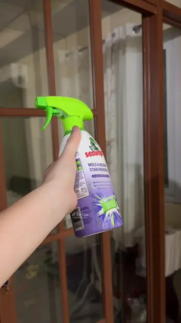 Mold problem ba? Try niyo ito. #seaways #seawaysmoldandmildewstainremover #molds