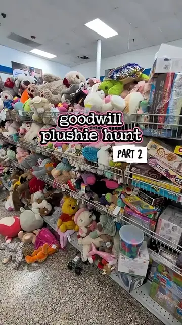 Part 2! Lots of Sanrio, vintage and just plain adorable plushies today at Goodwi