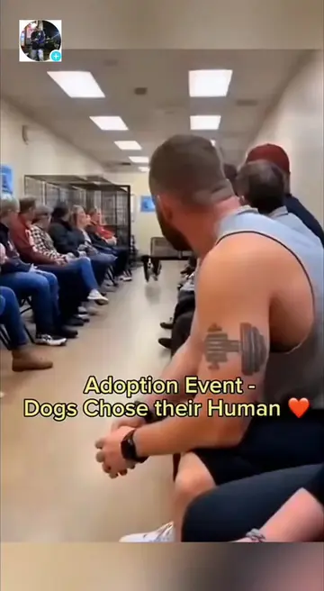 The fateful encounter between dog and human's 🥺♥️ #dog #doglover #cute #Love #t